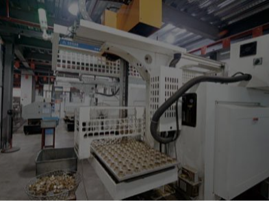 cropped-about-bottom-01